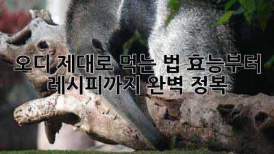 오디 제대로 먹는 법: 효능부터 레시피까지 완벽 정복!